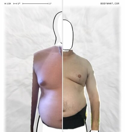 Torso Comparison