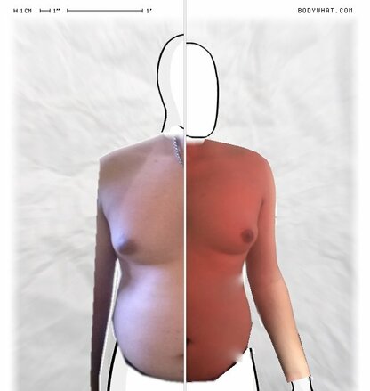 Torso Comparison