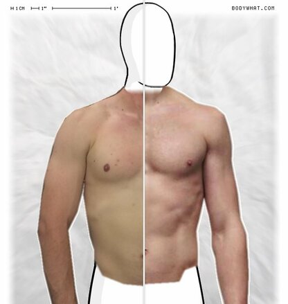 Torso Comparison