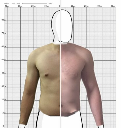 Torso Comparison