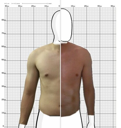 Torso Comparison
