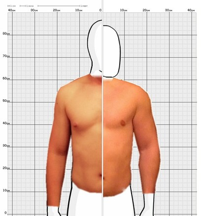 Torso Comparison