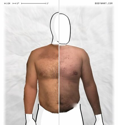 Torso Comparison