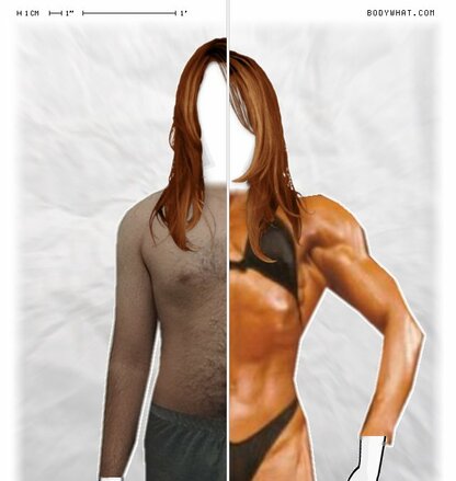 Torso Comparison