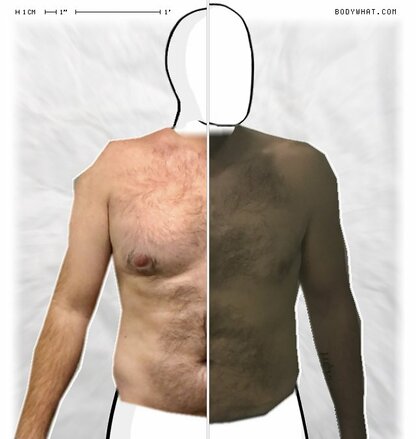 Torso Comparison