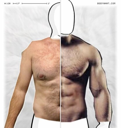 Torso Comparison