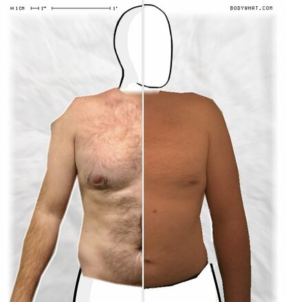 Torso Comparison