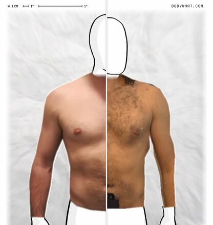 Torso Comparison