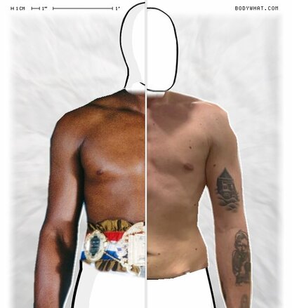 Torso Comparison