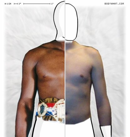 Torso Comparison