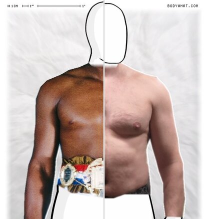 Torso Comparison