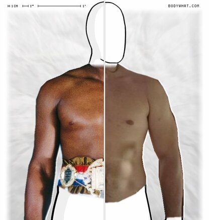 Torso Comparison