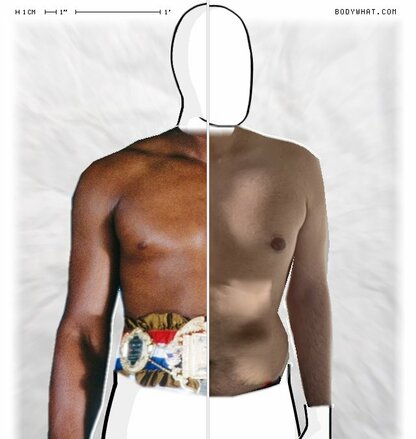 Torso Comparison