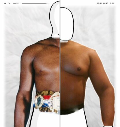 Torso Comparison