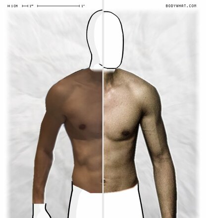 Torso Comparison