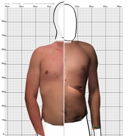 Torso Comparison