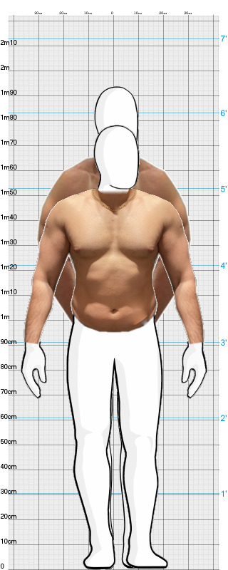Full Size Comparison