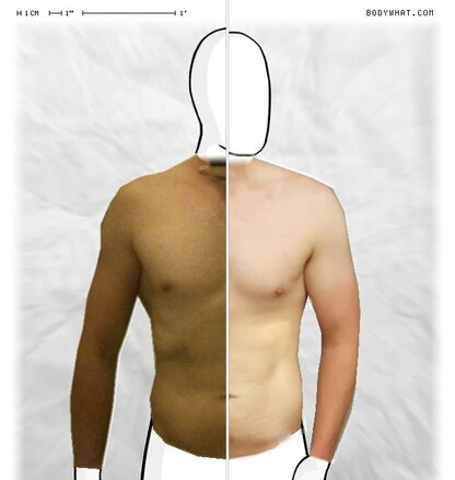 Torso Comparison