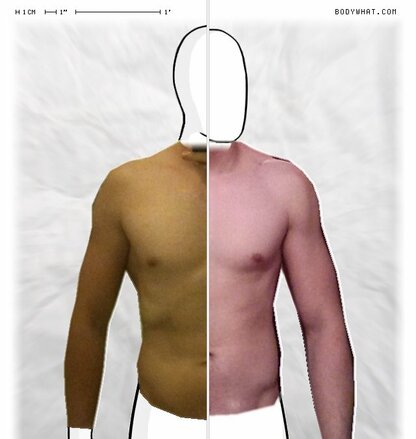 Torso Comparison