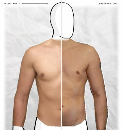 Torso Comparison