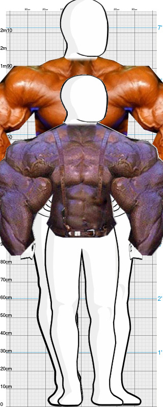 Full Size Comparison