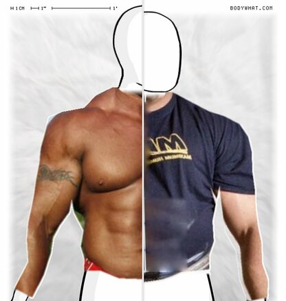 Torso Comparison