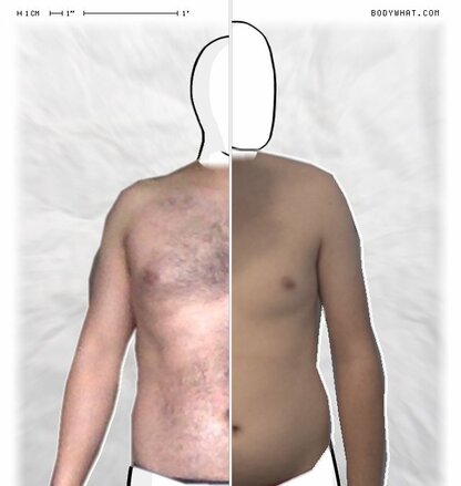 Torso Comparison