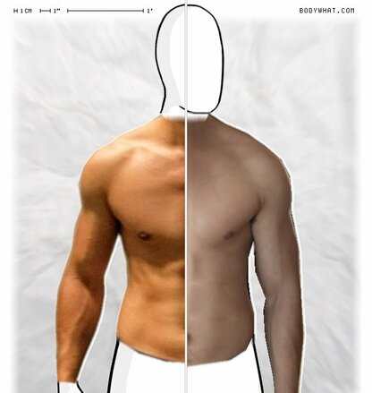 Torso Comparison