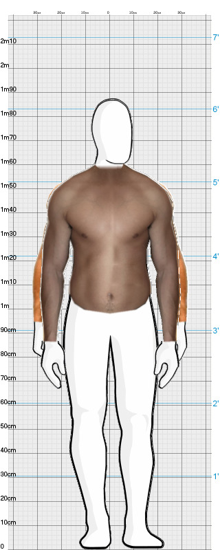 Full Size Comparison