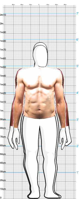 Full Size Comparison