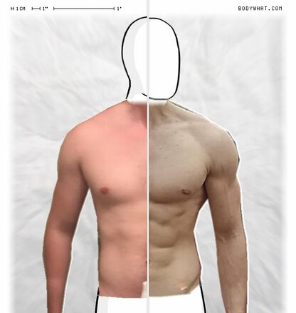 Torso Comparison