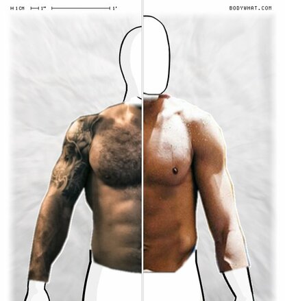 Torso Comparison