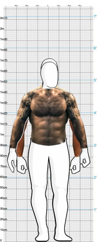 Full Size Comparison
