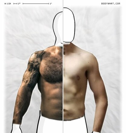 Torso Comparison