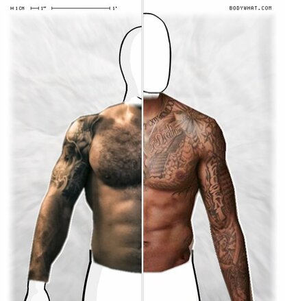 Torso Comparison