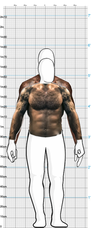 Full Size Comparison