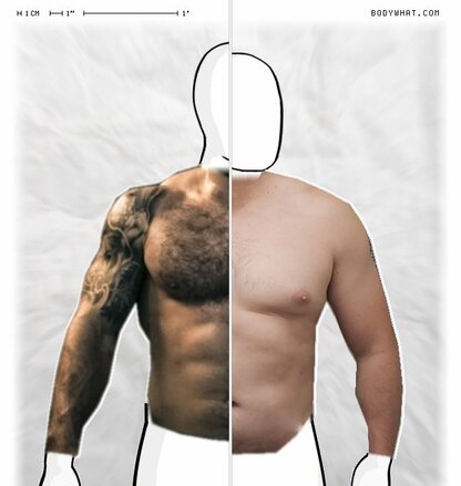 Torso Comparison
