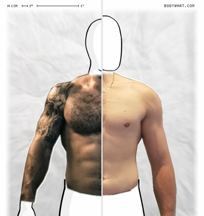 Torso Comparison