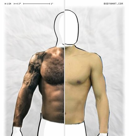 Torso Comparison