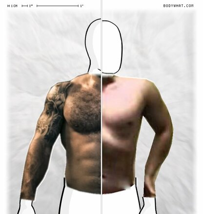 Torso Comparison