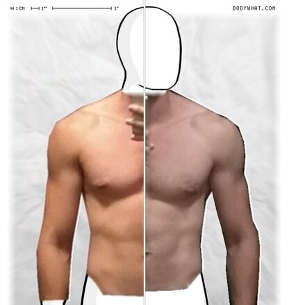 Torso Comparison