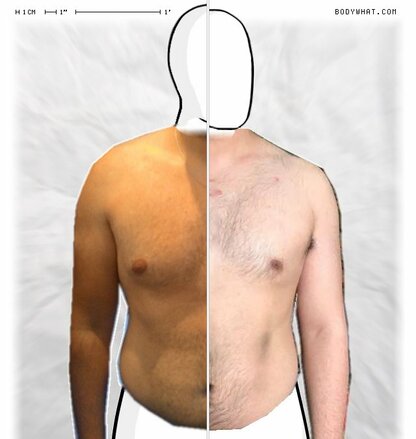 Torso Comparison