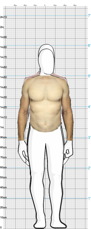 Full Size Comparison