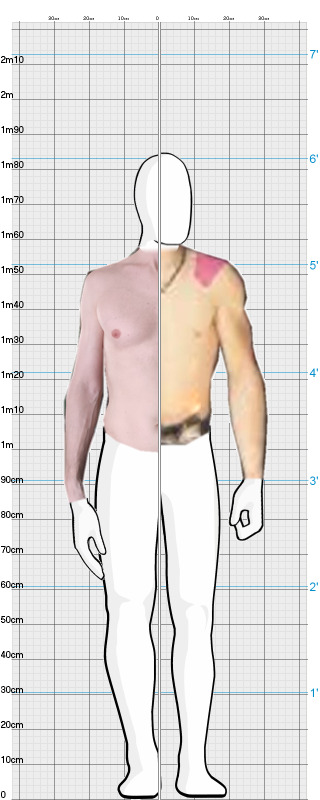 Full Size Comparison