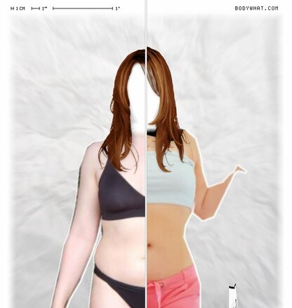 Torso Comparison