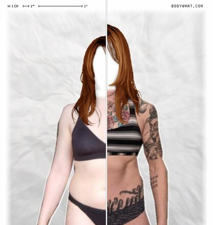 Torso Comparison