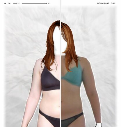 Torso Comparison