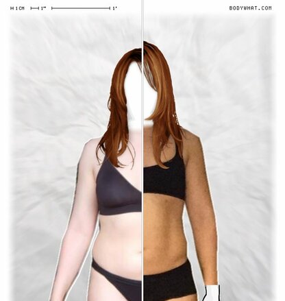 Torso Comparison