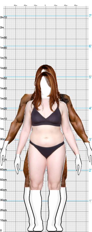 Full Size Comparison