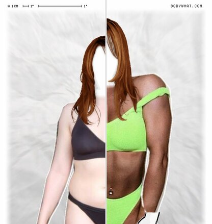 Torso Comparison